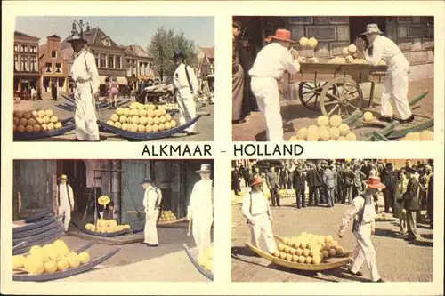 Alkmaar  Kat. Alkmaar