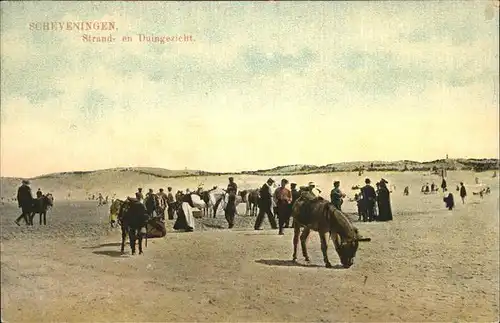 Scheveningen Strand Esel Kat. Scheveningen