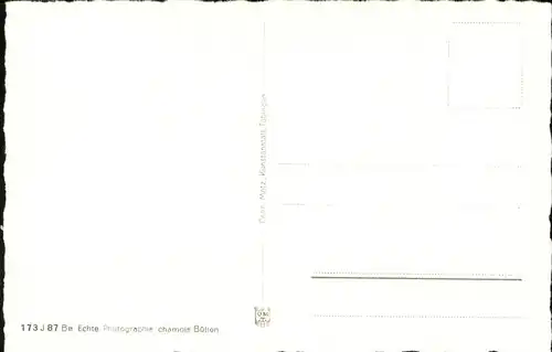 wz28564 Hirschegg Kleinwalsertal Vorarlberg Luftbild Kategorie. Mittelberg Alte Ansichtskarten