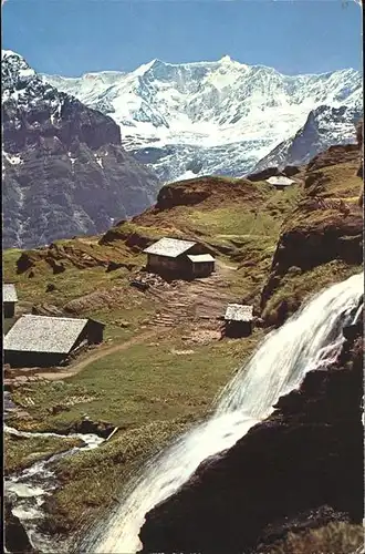 wz35904 Grindelwald Bachlaeger Fiescherhoerner Kategorie. Grindelwald Alte Ansichtskarten