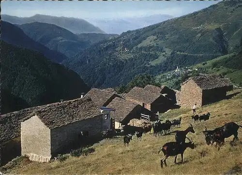 Indemini Il Ticino pittoresco Ziegen Kat. Indemini