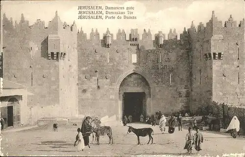 Jerusalem Yerushalayim Damaskus Tor Esel  Menschen / Israel /