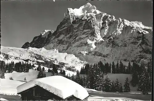 wz42582 Grindelwald Wetterhorn Kategorie. Grindelwald Alte Ansichtskarten