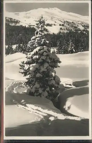 Lenzerheide Albula Winter Kat. Lenzerheide