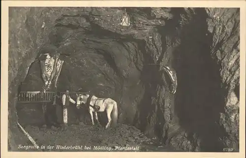 Moedling Seegrotte Pferdestall Hinterbuehl Kat. Moedling