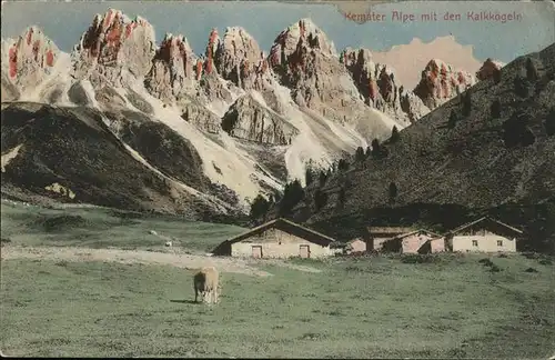 Kalkkoegel Kemater Alpe Kuh Kat. Neustift im Stubaital