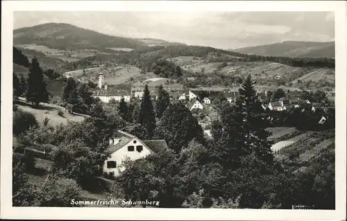 Schwanberg Sommerfrische Kat. Schwanberg