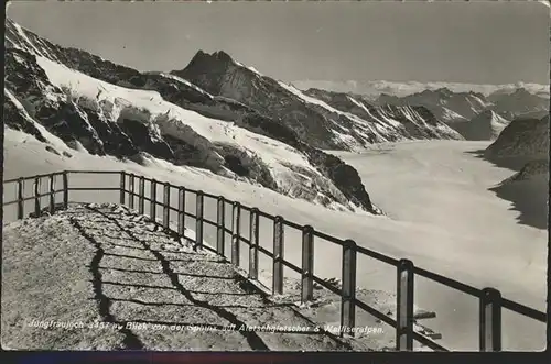 Jungfraujoch Aletschgletscher Walliseralpen Kat. Jungfrau