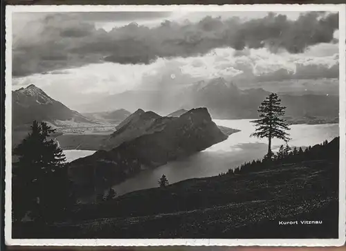 Vitznau Am Rigi Stanserhorn Kat. Vitznau