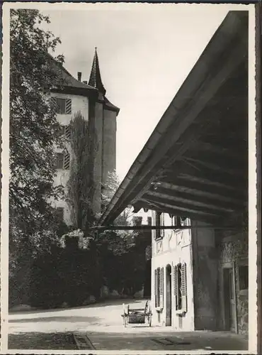 Luzern LU Schloss Heidegg Kat. Luzern