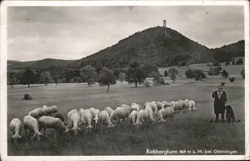 Goenningen Rossbergturm Schafe Hund