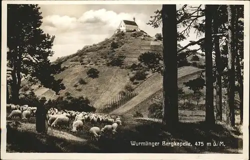 Wurmlingen Kapelle Schafe Kat. Rottenburg am Neckar