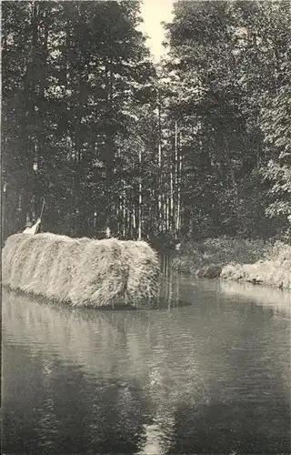 Lehde Spreewald
Heutransport im Kgl. Wald Kat. Luebbenau