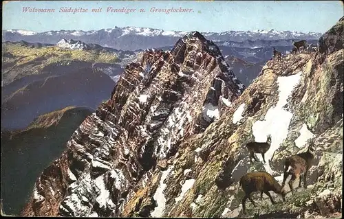 Watzmann Venediger Grossglockner Kat. Berchtesgaden