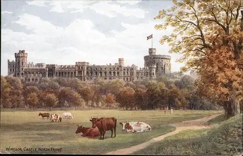 Windsor Berkshire Castle Kuehe / Windsor and Maidenhead /Berkshire