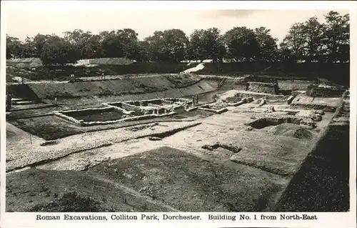 Dorchester West Dorset Roman Excavation Colliton Park Kat. West Dorset