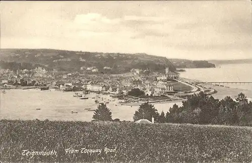 Teignmouth Teignbridge From Torquay Road Kat. Teignbridge