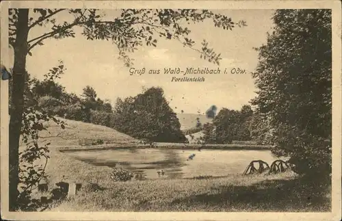 Waldmichelbach Forellenteich / Wald-Michelbach /Bergstrasse LKR