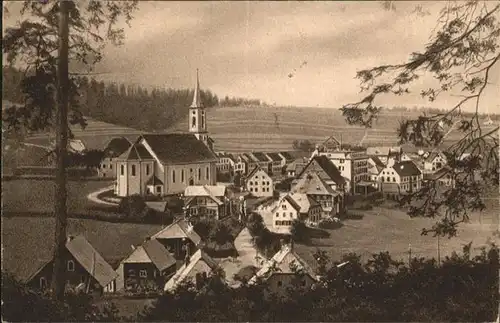 Schoenwald Triberg  / Triberg im Schwarzwald /Schwarzwald-Baar-Kreis LKR