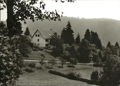 Dachsberg Suedschwarzwald Haus Monika / Dachsberg /Waldshut LKR