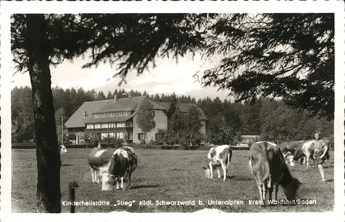 Unteralpfen Kinderheilstaette stieg Kuehe / Albbruck /Waldshut LKR