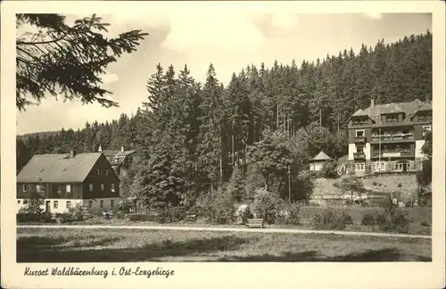 Waldbaerenburg Ost-Erzgebirge / Altenberg /Saechsische Schweiz-Osterzgebirge LKR