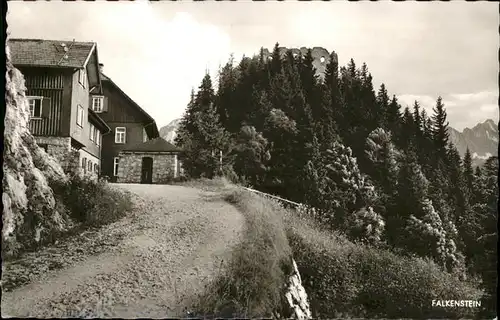 Falkenstein Oberpfalz Burgruine Burghotel / Falkenstein /Cham LKR