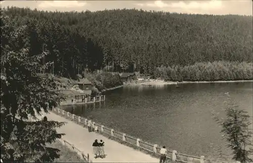 Scheibe-Alsbach Stausee / Scheibe-Alsbach /Sonneberg LKR