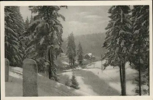 Schmiedefeld Rennsteig Wintersportplatz Thueringer Wald / Schmiedefeld Rennsteig /Ilm-Kreis LKR