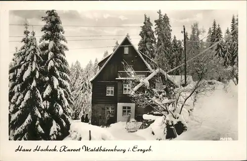 Waldbaerenburg Haus Hocheck / Altenberg /Saechsische Schweiz-Osterzgebirge LKR