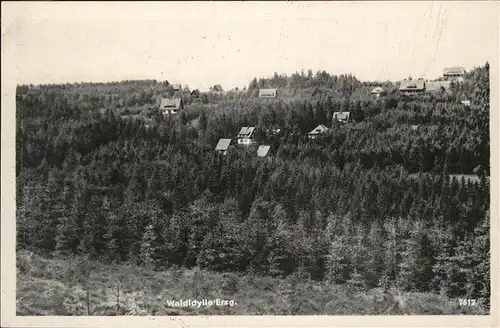 Waldidylle Erzgebirge / Altenberg /Saechsische Schweiz-Osterzgebirge LKR