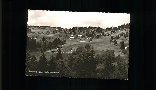 Blasiwald  / Schluchsee /Breisgau-Hochschwarzwald LKR