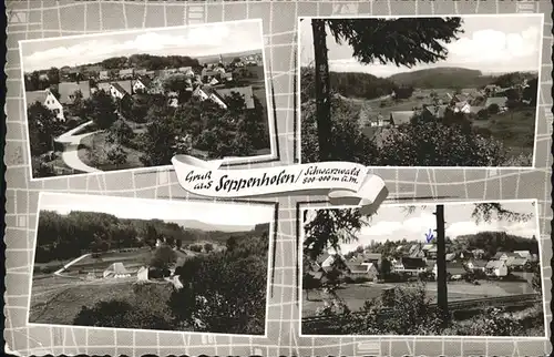 Seppenhofen  / Loeffingen /Breisgau-Hochschwarzwald LKR