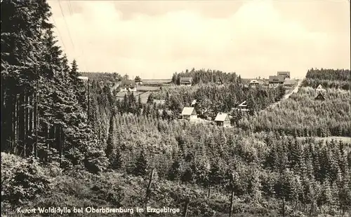 Waldidylle  / Altenberg /Saechsische Schweiz-Osterzgebirge LKR