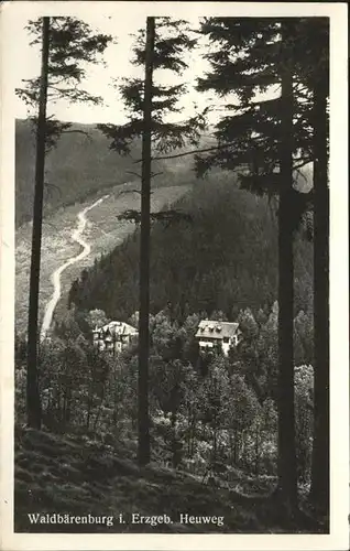 Waldbaerenburg Heuweg / Altenberg /Saechsische Schweiz-Osterzgebirge LKR