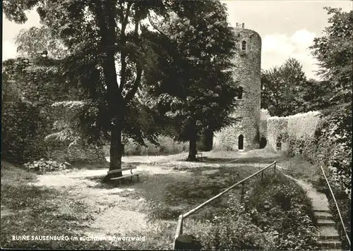 Sausenburg Ruine Sausenburg / Kandern /Loerrach LKR