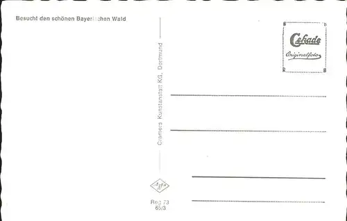 Silberberg Bodenmais Bayerischer Wald Silberberg / Bodenmais /Regen LKR