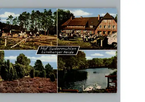 Egestorf Nordheide Hote Hof Sudermuehlen / Egestorf /Harburg LKR