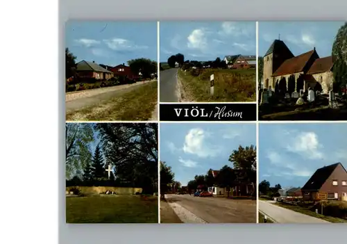 Vioel  / Vioel /Nordfriesland LKR