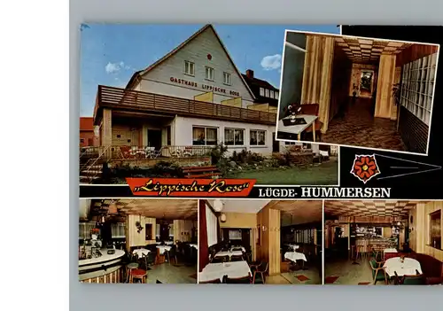Hummersen Hotel - Pension Lippische Rose / Luegde /Lippe LKR