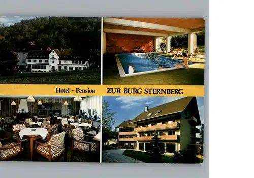 Extertal Hotel - Pension Zur Burg Sternberg / Extertal /Lippe LKR