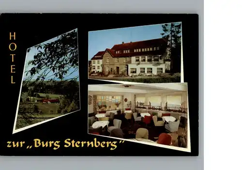 Boesingfeld Hotel - Pensin Zur Burg Sternberg / Extertal /Lippe LKR