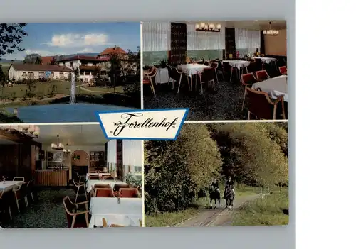 Doerentrup Pension - Cafe Forellenhof  / Doerentrup /Lippe LKR