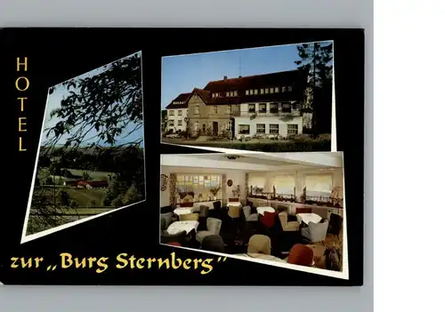 Boesingfeld Hotel Zur Burg Sternberg / Extertal /Lippe LKR