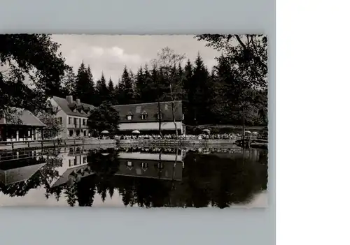 Leopoldstal Lippe Hotel - Gasthaus Silbermuehle / Horn-Bad Meinberg /Lippe LKR