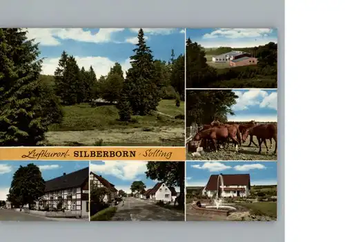 Silberborn  / Holzminden /Holzminden LKR