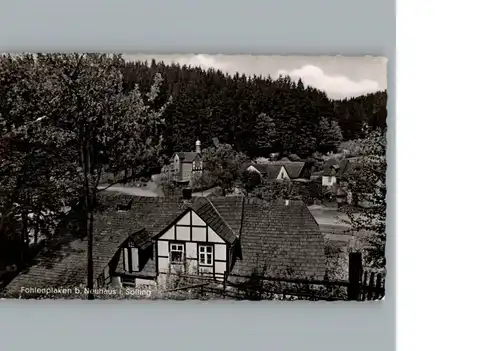 Fohlenplacken  / Holzminden /Holzminden LKR