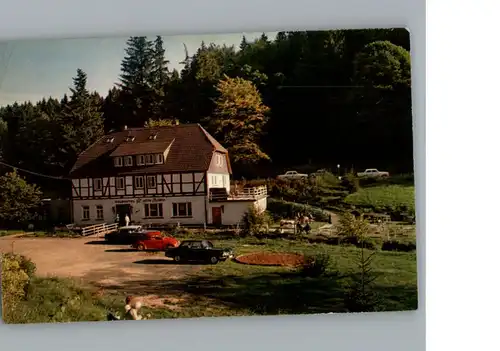 Fohlenplacken Waldhotel Alte Muehle / Holzminden /Holzminden LKR