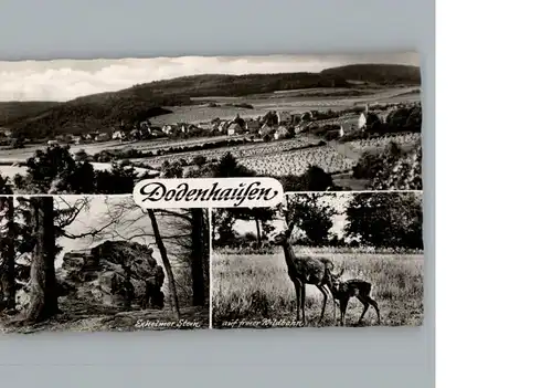 Dodenhausen  / Haina (Kloster) /Waldeck-Frankenberg LKR