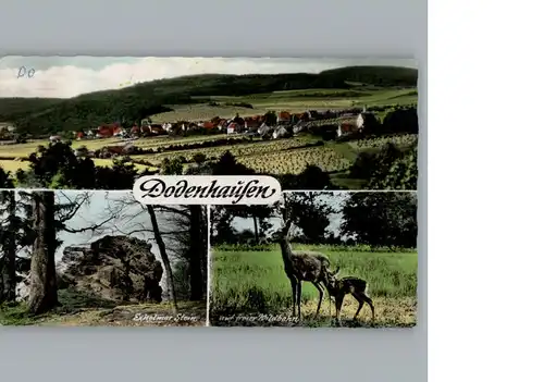 Dodenhausen Fliegeraufnahme  / Haina (Kloster) /Waldeck-Frankenberg LKR